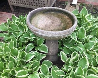 Concrete bird bath.