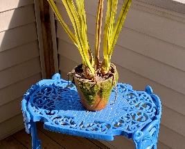 Cast iron plant stand