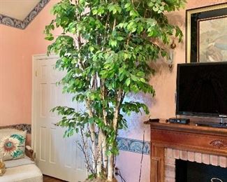 $225  - Faux ficus tree -  Approx 12' tall. 