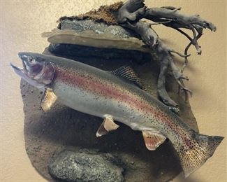 colorful rainbow trout