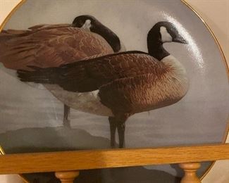 Large Collection of Plates with water fowl 