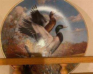 COllector plates Mallard Ducks 
