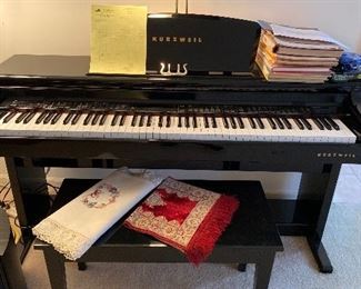 Awesome Kurzweil Mint black lacquered organ