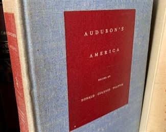 $12 - Audubon's America