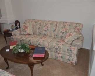 sofa and coffee trable