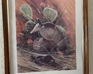 Framed Burleson Armadillo print