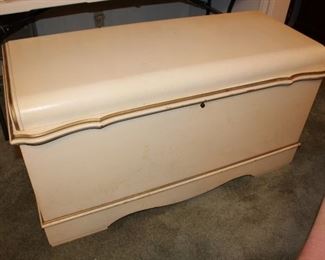 Large Cedar Trunk