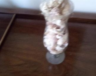 79. GLASS OF SEA SHELLS $5