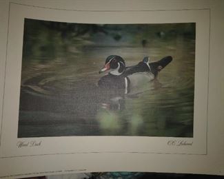 another one of the prints