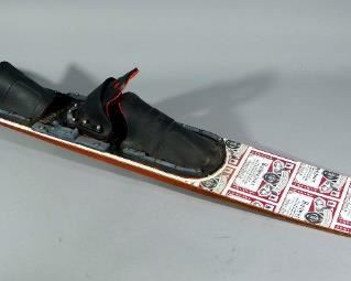 Budweiser Slalom Ski