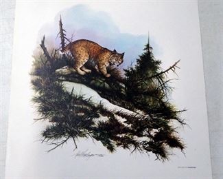 Wildlife Prints Of Various Animals, Qty 8, Each 19" Wide x 20" High, Artist Name Undeciphered, Swarovski Copyright
