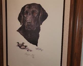 $30.00, Black Lab signed 22 x 24"