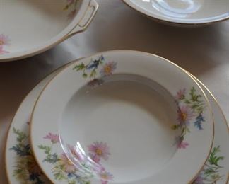 PRISTINE CHINA SERVICE FOR 12