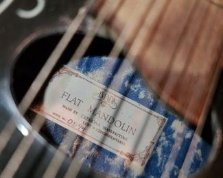 Amada Flat Mandolin 