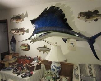 Trophy Catches