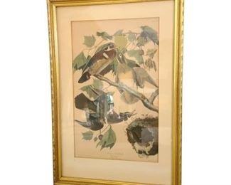 1990s Oppenheimer Havell Print of Summer or Wood Duck After John James Audubon, Framed