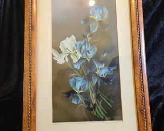 Antique Iris Lily Chromolithograph by Henri LeRoy