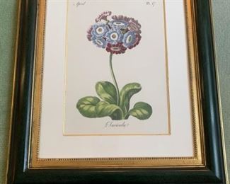 Floral Print with Frame