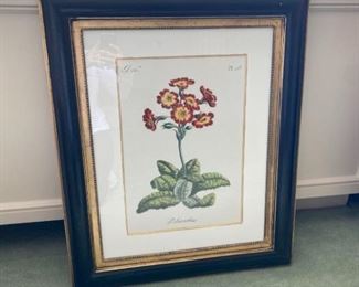 Polianthus Flower Print