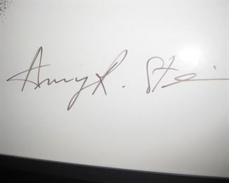 Amy R. Stein signature
