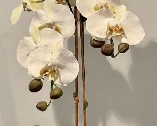 Item 39:  Faux Orchid - 30":  $34