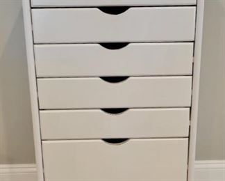 Item 223:  Storage Cabinet - 20"l x 14"w x 39"h:  $170