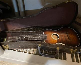 ukulele