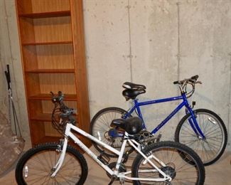 Free Spirit Cliffhanger White Ladies Bike; Schwinn Frontier Blue Mens Bike; Tall Book Case