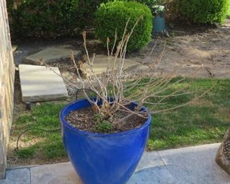 One of four ceramic planters