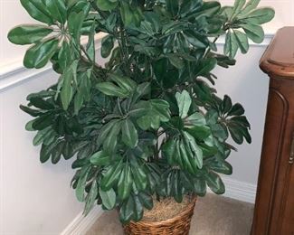 Artificial Plant...the Best Kind