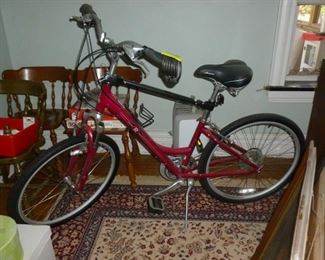 Another Raleigh Bike