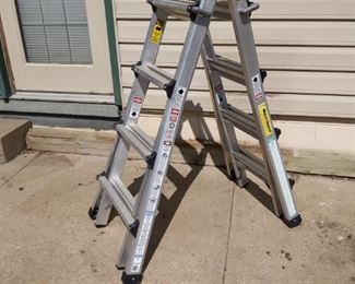 Cosco Adjustable Ladder