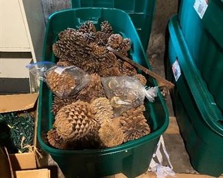 Giant Pine cones for decorating