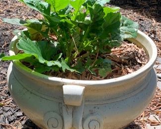 Large Cement Planters