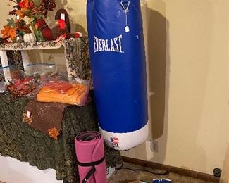 EXERCISE EQUIPMENT: PUNCHING BAG, EXERCISE MAT, BOXING GLOVES, ETC.