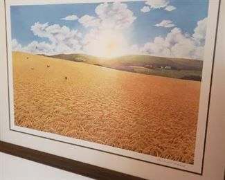 "Amber Waves of Grain "