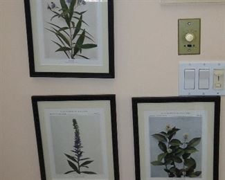 Wild Flowers of New York Botanical Prints 16 of these $300 for all