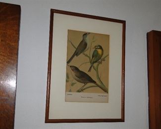 Birds Art Print $40