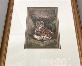 Unsigned Pastel of Tigers with their Cubs