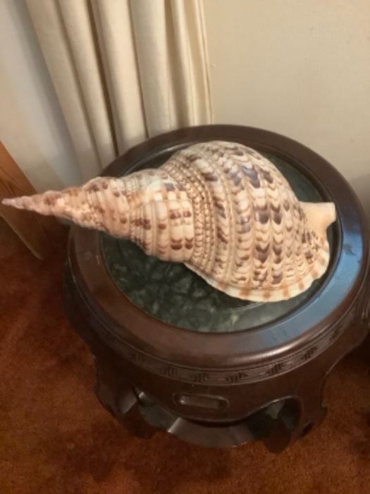 Nice shell