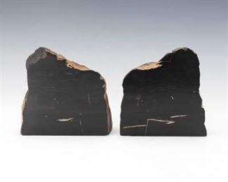 Prehistoric Petrified Wood Jet Book Ends