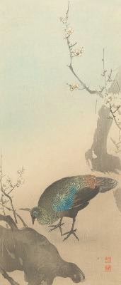 Woodblock Print of a Pheasant