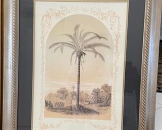 Palm Tree Print, Framed 27" x 34"
