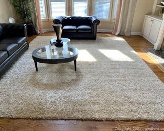 Stylish Shaggy Area Rug