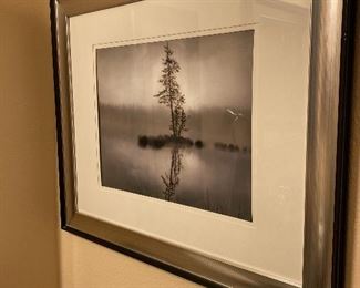 FRAMED CONTEMPORARY TREE PRINT