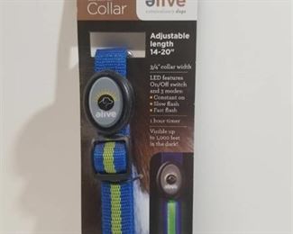 Blue LED Collar. Small-Medium