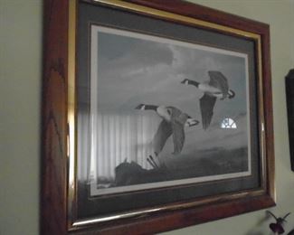 Ducks unlimited print