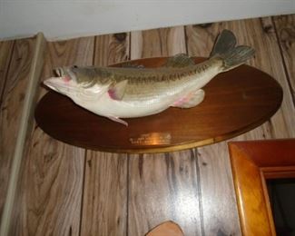bass mount