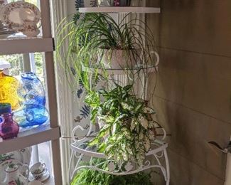 White, wrought iron corner etagere with four glass shelves, with live plants, all for sale - it's SPRING!