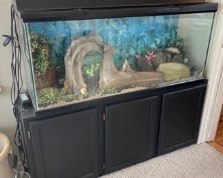 CLEARANCE  !  $75.00 NOW, WAS   $250.00...........Large Aquarium  set up for turtles 